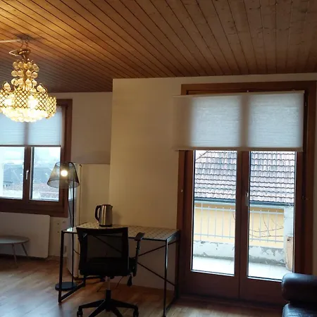 公寓 Large Room, Shared Kitchen And Bath, Near Station