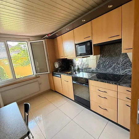 Large Room, Shared Kitchen And Bath, Near Station アパート Bolligen
