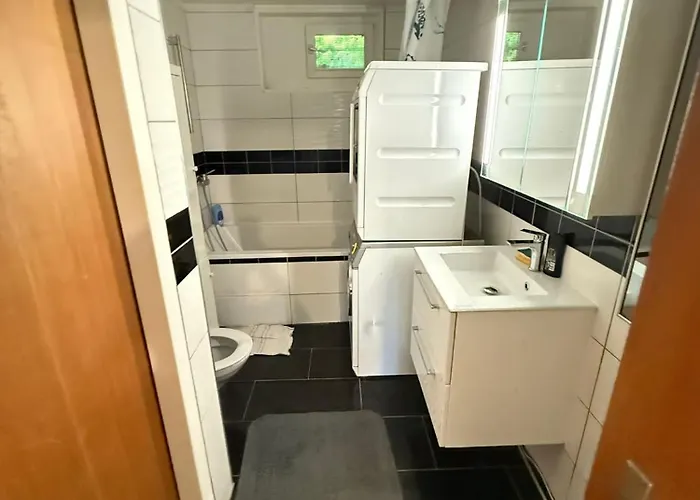 Large Room, Shared Kitchen And Bath, Near Station Apartment *