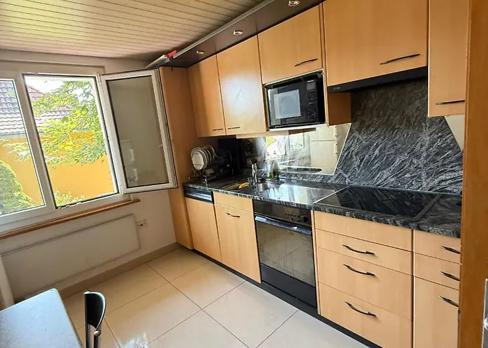 Large Room, Shared Kitchen And Bath, Near Station アパート Bolligen