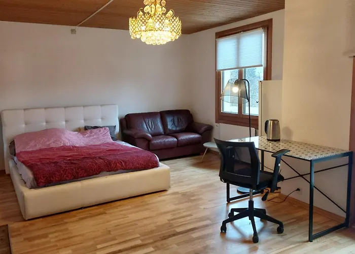 Large Room, Shared Kitchen And Bath, Near Station アパート Bolligen
